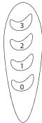 EQUATION FT30A - Operation - 1