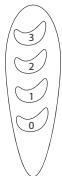 EQUATION FT30A - Fonctionnement - 1