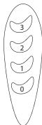 EQUATION FT30A - Aetoupyia - 1