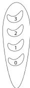 EQUATION FT30A - Functionare - 1