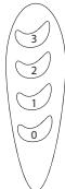EQUATION MOE 4 - FT40A1 - Ekcnlyataia - 1