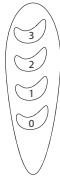 EQUATION MOE 4 - FT40A1 - Funcionamento - 1