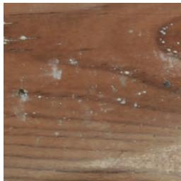 GRE EVORA - WOOD: A LIVING MATERIAL - 3