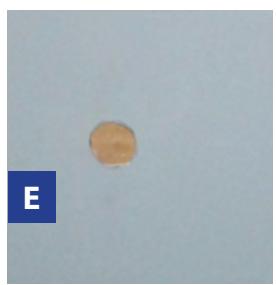 GRE EVORA - Ref. 790207 - 5