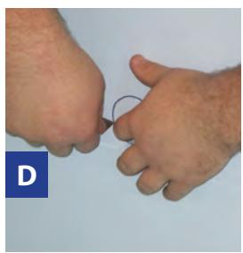 GRE EVORA - Ref. 790207 - 4