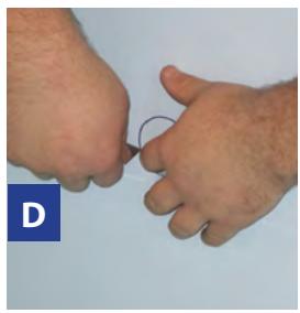 GRE EVORA - Ref. 790206 - 4