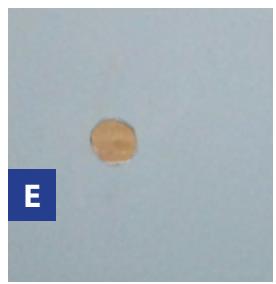 GRE EVORA - Ref. 790207 - 5