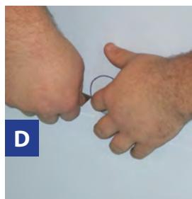 GRE BRAGA - Ref. 790207 - 4