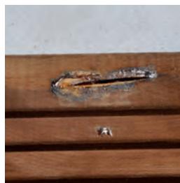 GRE BRAGA - WOOD: A LIVING MATERIAL - 2