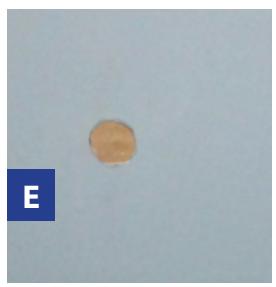 GRE BRAGA - Ref. 790206 - 5