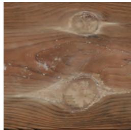 GRE BRAGA - WOOD: A LIVING MATERIAL - 4