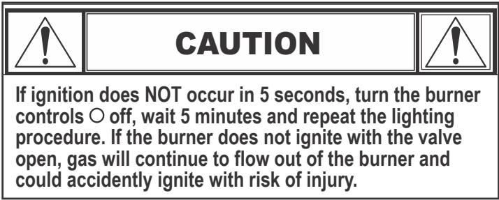CHAR BROIL 468502422 - 468162422 - Ignitor Lighting - 2