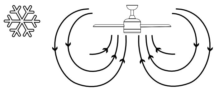 SULION YANG - Rotation direction: summer and winter - 2