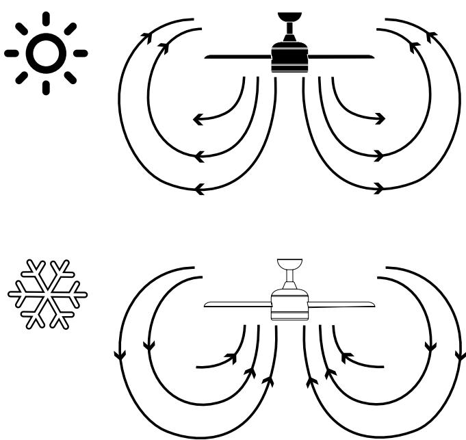 SULION DAIQUIRI - Rotation direction: summer and winter - 1