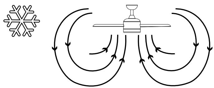 SULION LANGUR - Rotation direction: summer and winter - 2