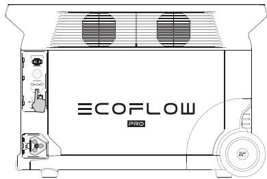 ECOFLOW DELTA PRO - Port de sortie 12V CC - 1