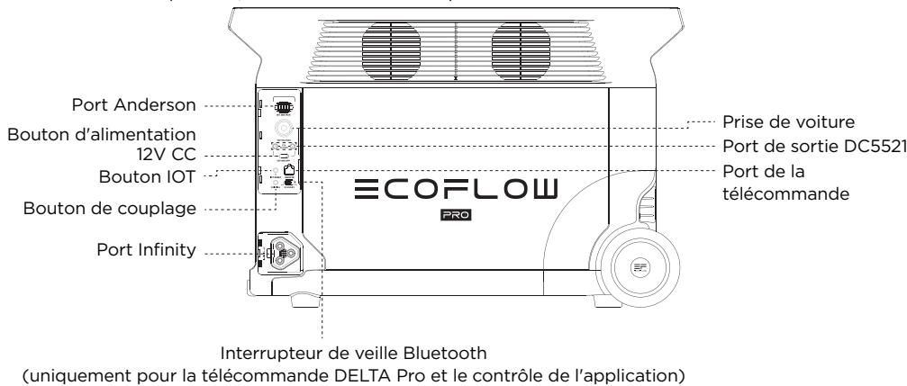 ECOFLOW DELTA PRO - Détails du produit - 2
