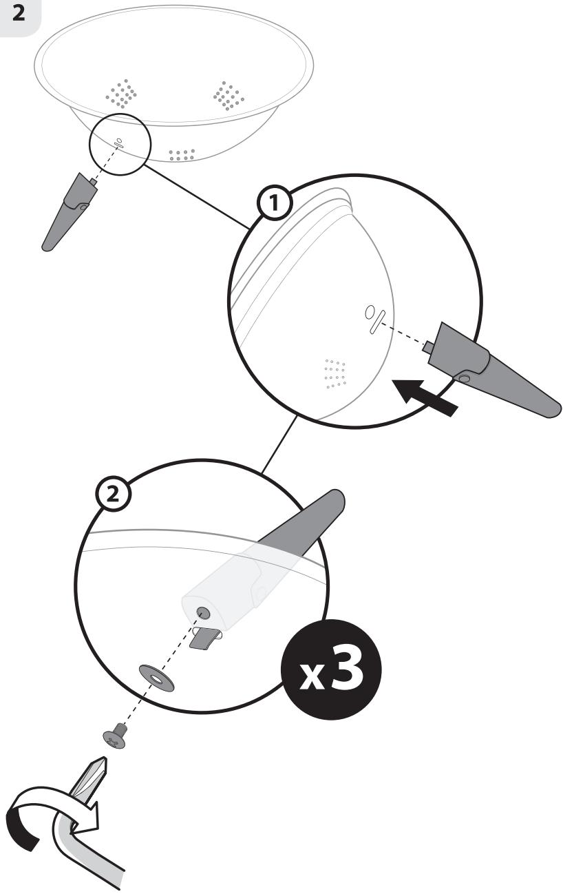 NATERIAL PHOENIX - 27