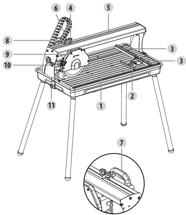 DEXTER 800ETC1-20030.1 - ONIC - 2