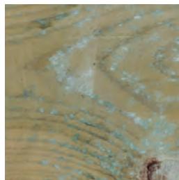 GRE VERMELA - WOOD: A LIVING MATERIAL - 6