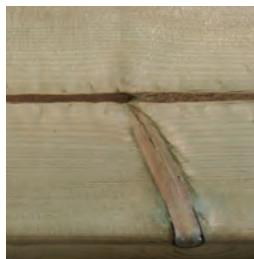 GRE VERMELA - WOOD: A LIVING MATERIAL - 5