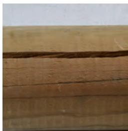 GRE VERMELA - WOOD: A LIVING MATERIAL - 1