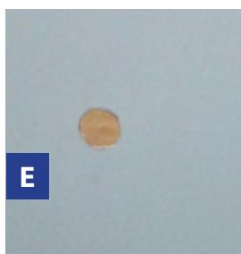 GRE VERMELA - SKIMMER - 11