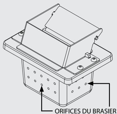 EXTRAFLAME DAHIANA VFS - DAHIANA PLUS VFS - UN BRASIER PROPRE GARANTIT UN FONCTIONNEMENT CORRECT! - 1