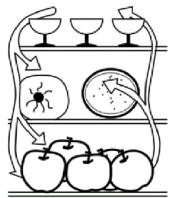 CANDY CM4SE68W - Alimentos de uso diario o que vayan a consumirse a corto plazo. - 1
