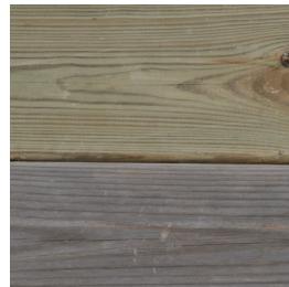 GRE CARRA 3 - EN WOOD: A LIVING MATERIAL - 7