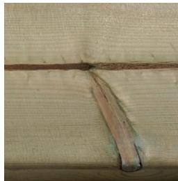 GRE CARRA 3 - EN WOOD: A LIVING MATERIAL - 5