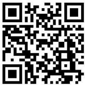 CANDY CI633CBB/1 - 2