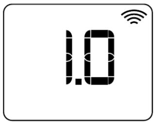 HJM IXORA 1000 - Affichage de la version du logiciel. - 2