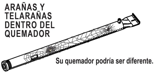 CHAR BROIL CRUISE - 468921224 - 468922224 - jALERTA DE ARANAS! - 1