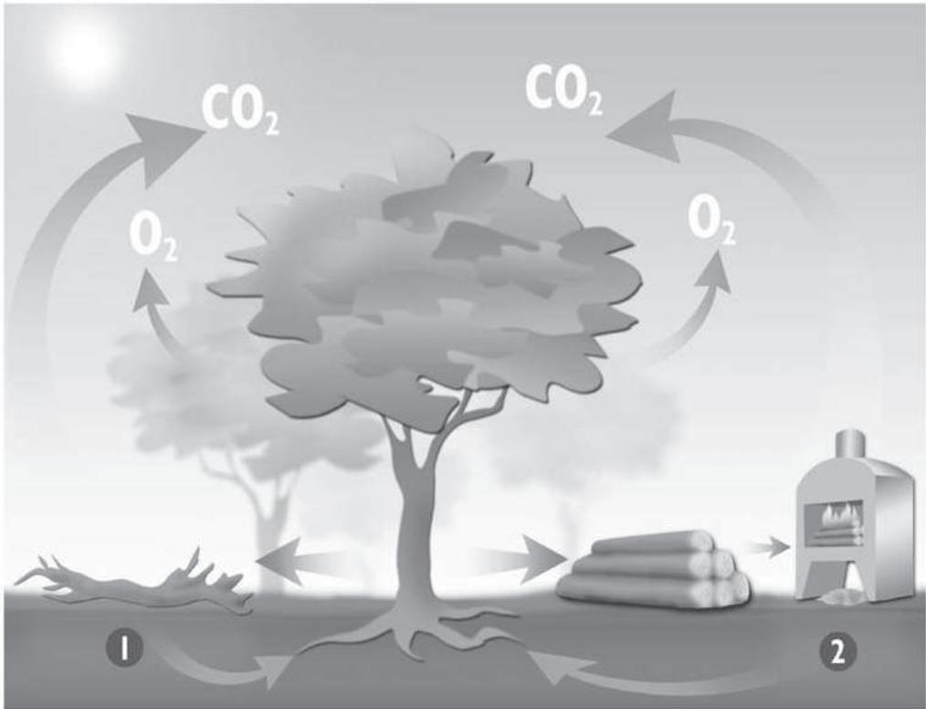 PANADERO KNYSNA / GARDA - 1