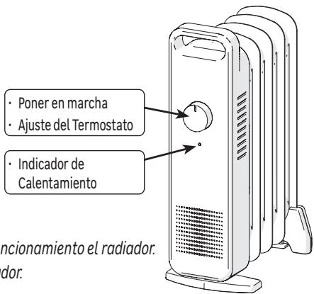EQUATION MINI OIL PROG 500 W - UTILIZACION - 2