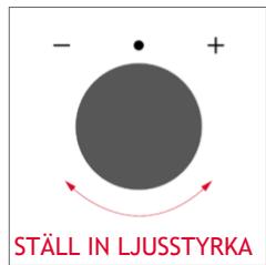 ROSIERES RO6 C3B3YTX - Hur statusfältet fungerar - 9