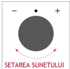 ROSIERES RO6 C3B3YTX - Cum funcționează bara de stare - 20