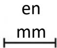 ROSIERES RO6 T3T1CTB1 NOIR - Humo - 4