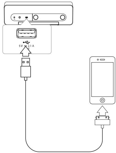 LG ND5430 - Connecting an iPod/iPhone/iPad (30-Pin/Lightning connector) to USB port - 1