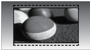 LG 223010 - - Zoom2 - 1