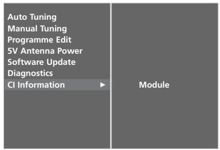 LG 32LC5 - CI [COMMON INTERFACE] INFORMATION (IN DIGITAL MODE ONLY) - 4