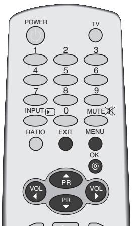 LG 32PC51 - ASSIGNING A STATION NAME - 1