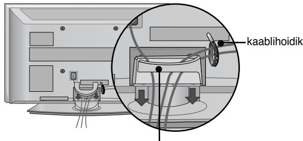 LG 42PG1000 - TAGAKATE JUHTMETE SEADMISEKS - 5