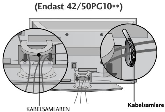 LG 42PG1000 - Installera KABELSAMLAREN enlistigt illustrationen. - 1