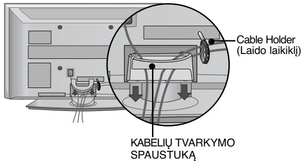 LG 42PG1000 - Sujunkite laidus. - 3
