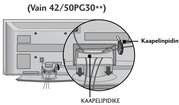 LG 42PG1000 - Kytke tarvittavat johdot. - 3