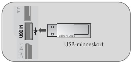 LG 32PG6000 - Ansluta USB-enheten - 1