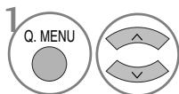 LG 42PQ3000 - QUICK MENU - 2