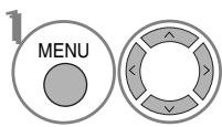 LG 42PQ3000 - Screen Components - 1